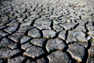 1705892691855256.png image.png