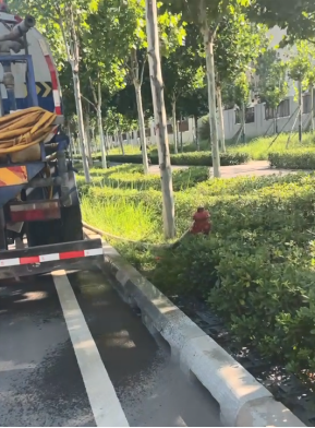 1731379784353721.jpg 1731379862880.jpg